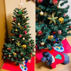 �N���X�}�X�c���[�ƈ���